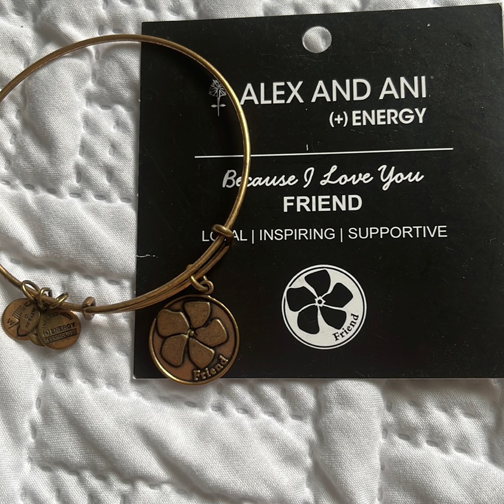 Alex and Ani Friend Bangle Bracelet Gold Charm Because I Love You